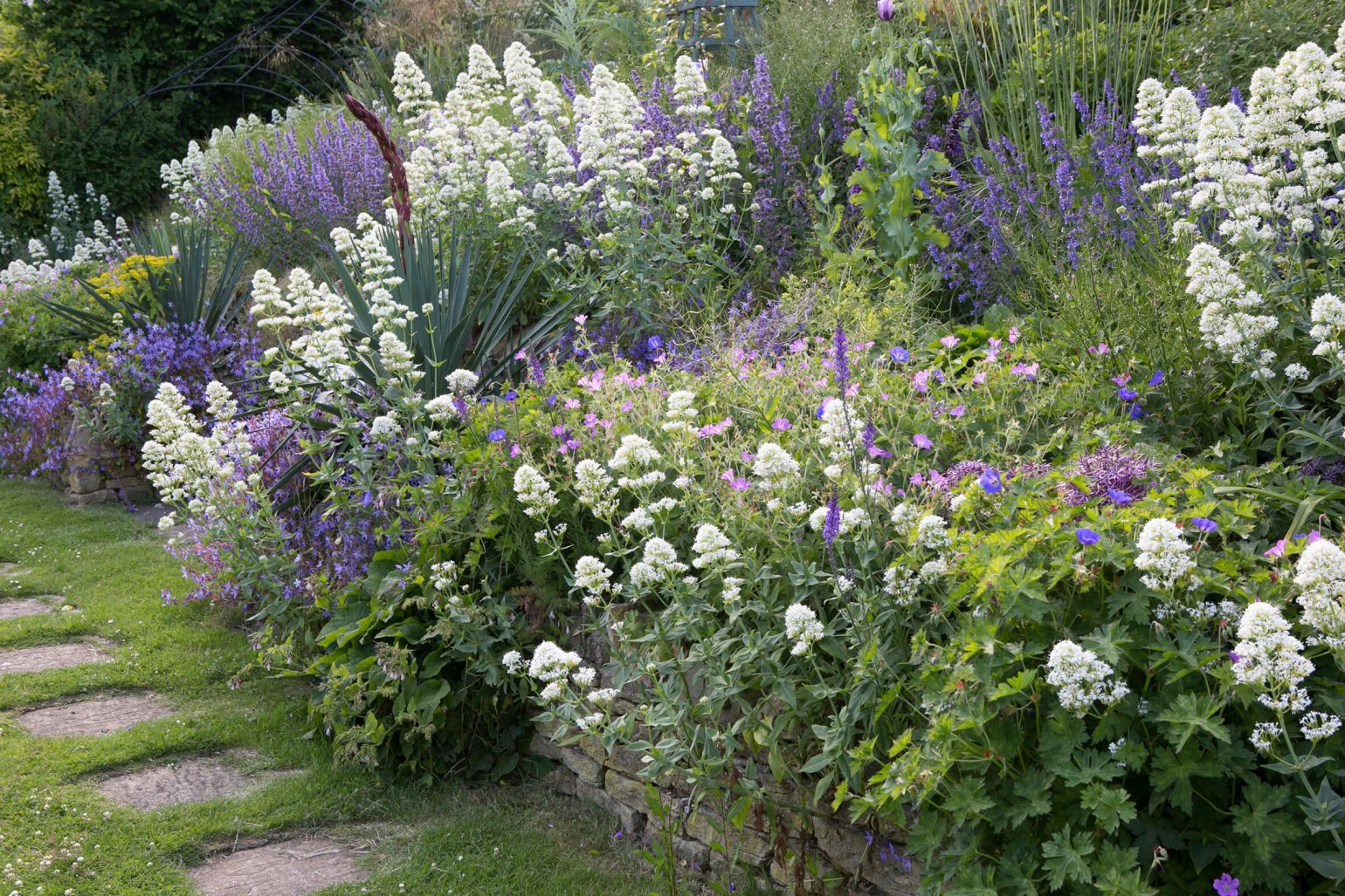 Mooie borderplanten: Creëer een kleurrijke en weelderige tuin in alle seizoenen - Doika