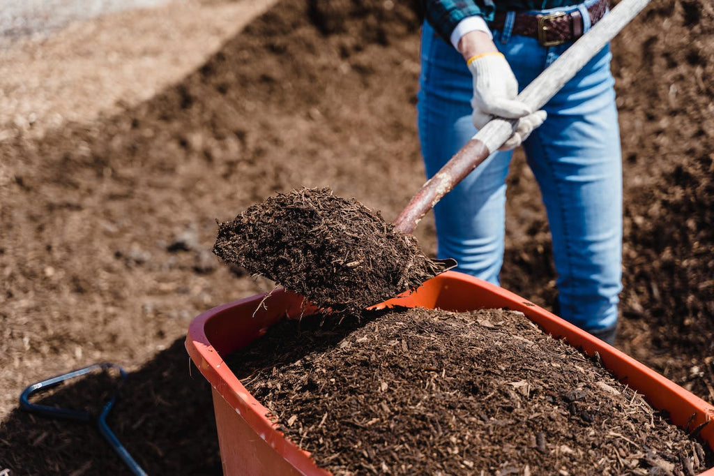 Wann dngen Sie Ihren Garten optimal mit Kompost? | Doikav