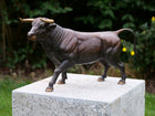 Bronzen beeld Stier 27x17x49cm
