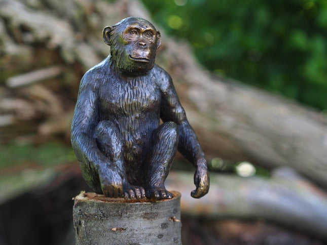 Bronzen beeld Chimpansee 15x9x12cm