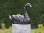 Bronzestatue Schwan 16x9x22cm
