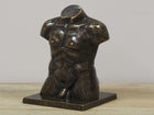 Bronzen beeld Kleine mannen torso 25x14x14cm