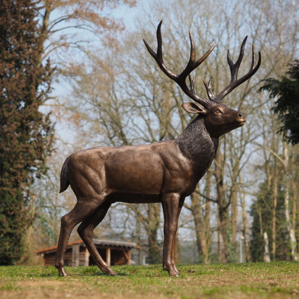 Bronzen beeld Staand hert 172x88x135cm