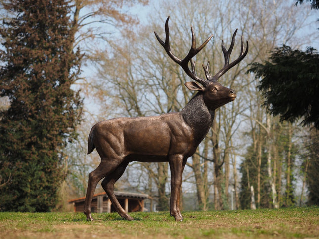 Bronzen beeld Staand hert 172x88x135cm