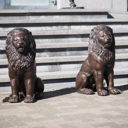 Bronzen beeld Zittende leeuw 80x37x58cm
