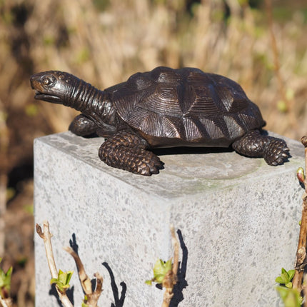Bronzen beeld Schildpad 10x19x29cm