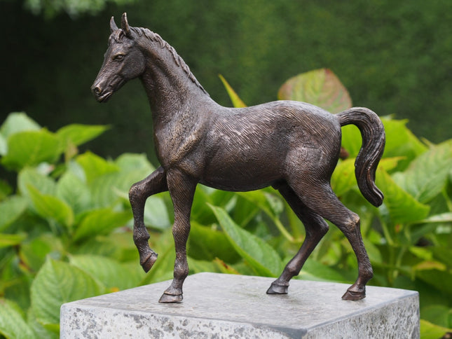 Bronzen beeld Paard 27x6x29cm