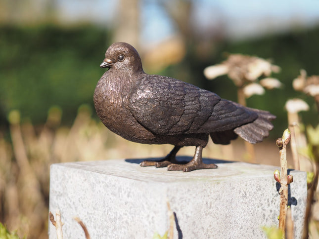 Bronzen beeld Duif 17x10x27cm