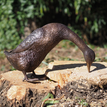 Bronzen beeld Staande eend 56x23x32cm