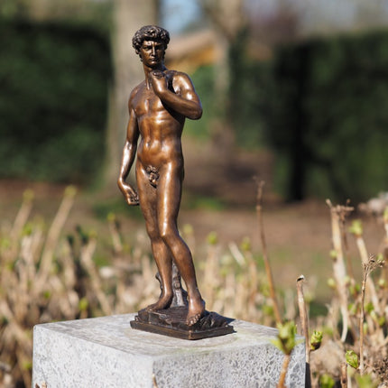 Bronzen beeld David van Michelangelo 40cm 40x0x0cm