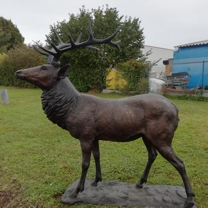 Bronzen beeld Groot hert 200x105x180cm 140kg