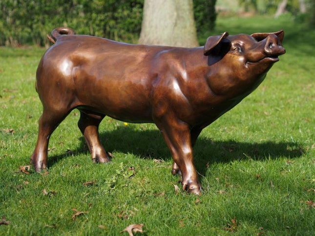 Bronzen beeld Varken 70x40x130cm 45kg