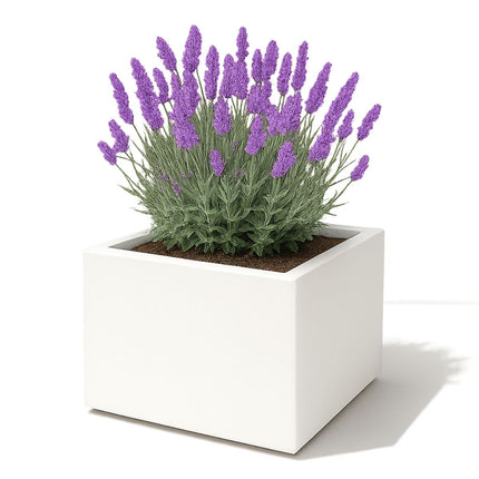 Polyester plantenbak 60x60x40 cm - Zuiver Wit (RAL 9010)