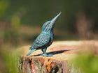 Bronzen beeld ijsvogeltje 10x5x8cm - Doika - Bronzen beeld - Doika - 5410807015100 - BS1510B