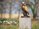 Bronzen beeld Uil speciale patine 21x11x11cm - Doika - Bronzen beeld - Doika - 5410807015650 - AN1565BRW-HP