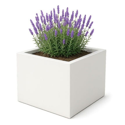 GARDRA Polyester plantenbak 100x100x60 cm - Zuiver Wit (RAL 9010) - Doika - Plantenbak - GARDRA -  - DOIKA-AP-06.2-RAL-9010