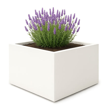 GARDRA Polyester plantenbak 140x140x60 cm - Zuiver Wit (RAL 9010) - Doika - Plantenbak - GARDRA -  - DOIKA-AP-13-RAL-9010