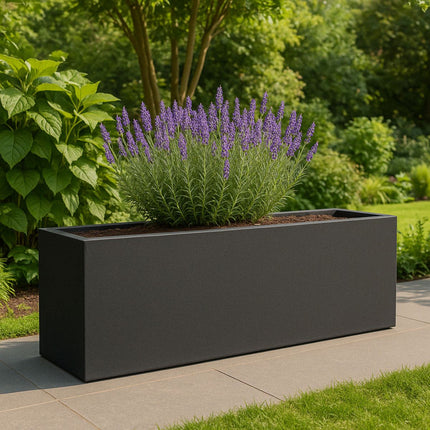 GARDRA Polyester plantenbak 200x30x60 cm - Zwartgrijs (RAL 7021) - Doika - Plantenbak - GARDRA -  - DOIKA-BP-20-RAL-7021