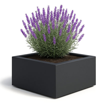 GARDRA Polyester plantenbak 80x80x40 cm - Zwartgrijs (RAL 7021) - Doika - Plantenbak - GARDRA -  - DOIKA-AP-5.2-RAL-7021