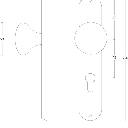 Intersteel Knop Paddenstoel op schild profielcilindergat 55 mm rvs geborsteld - Doika - Knoppen op schild - Intersteel - 8714186039717 - 35,269,529