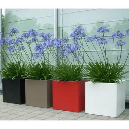 Adezz Buxus polyester plantenbak 120 x 120 x 40 cm - Doika - Plantenbak - Adezz - PB4.3