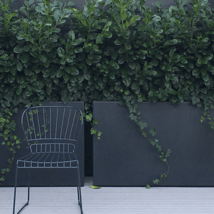 Adezz Buxus polyester plantenbak 120x50x60 cm - Doika - Plantenbak - Adezz - PB22.2