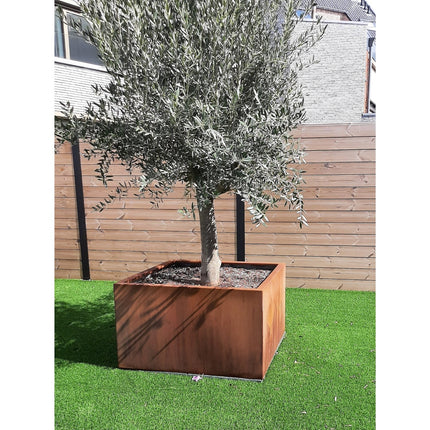 Geroba Artesa cortenstalen plantenbak vierkant 100x100x60cm 60kg - Doika BV - Plantenbak - Geroba - ArtesaB9